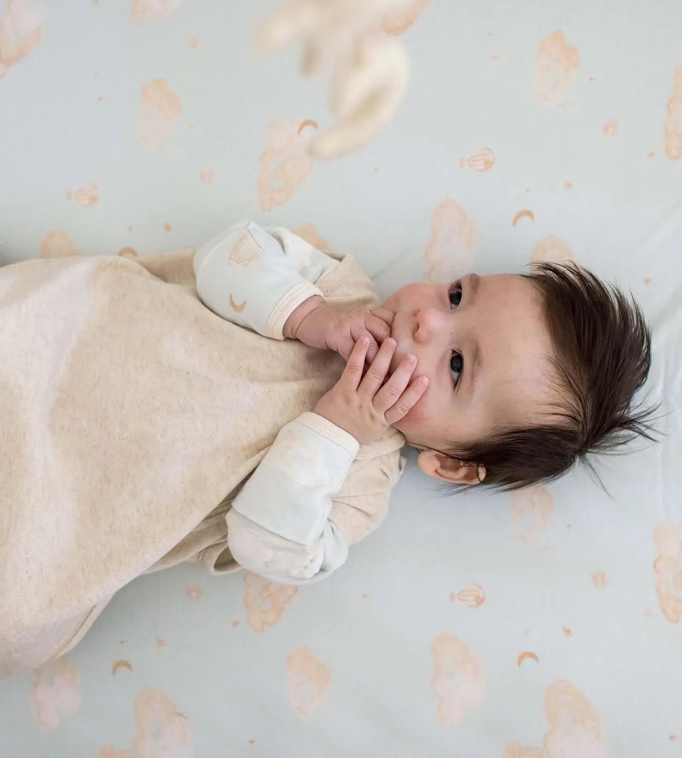 Burt's Bees Baby Unisex Newborn Essentials 100% Organic Cotton Beekeeper Wearable Blanket