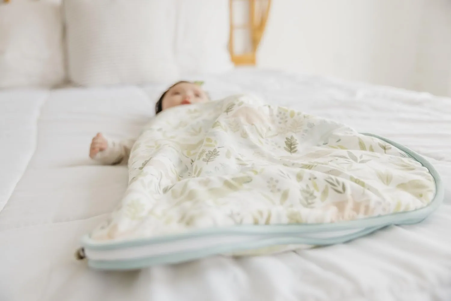 Copper Pearl Sleep Sack: Warm and Cozy Baby Bag in a Variety of Trendy Designs, Safe Alternative to Blankets, Sleeveless Baby Sleep Sack Swaddle Sizes Newborn to 24 Months - Rex