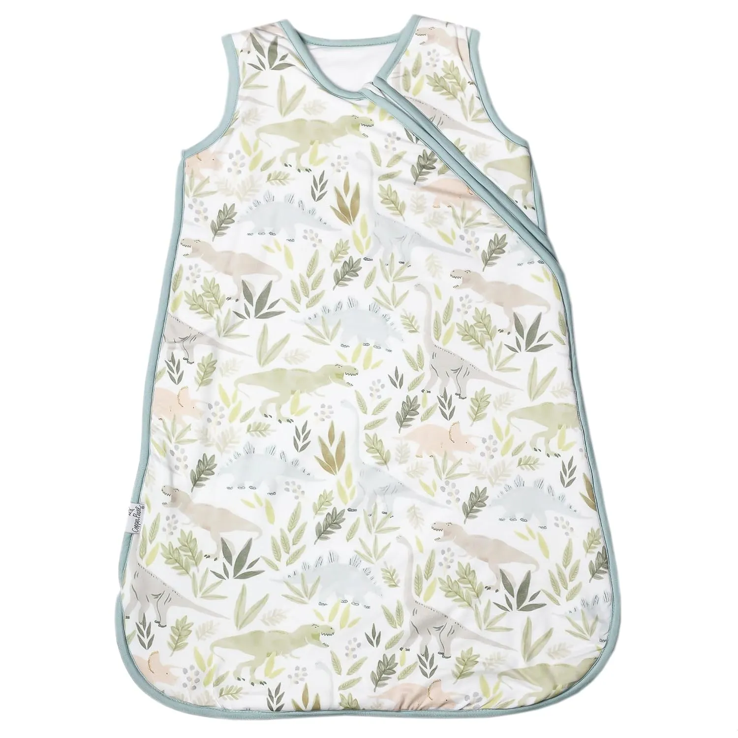 Copper Pearl Sleep Sack: Warm and Cozy Baby Bag in a Variety of Trendy Designs, Safe Alternative to Blankets, Sleeveless Baby Sleep Sack Swaddle Sizes Newborn to 24 Months - Rex