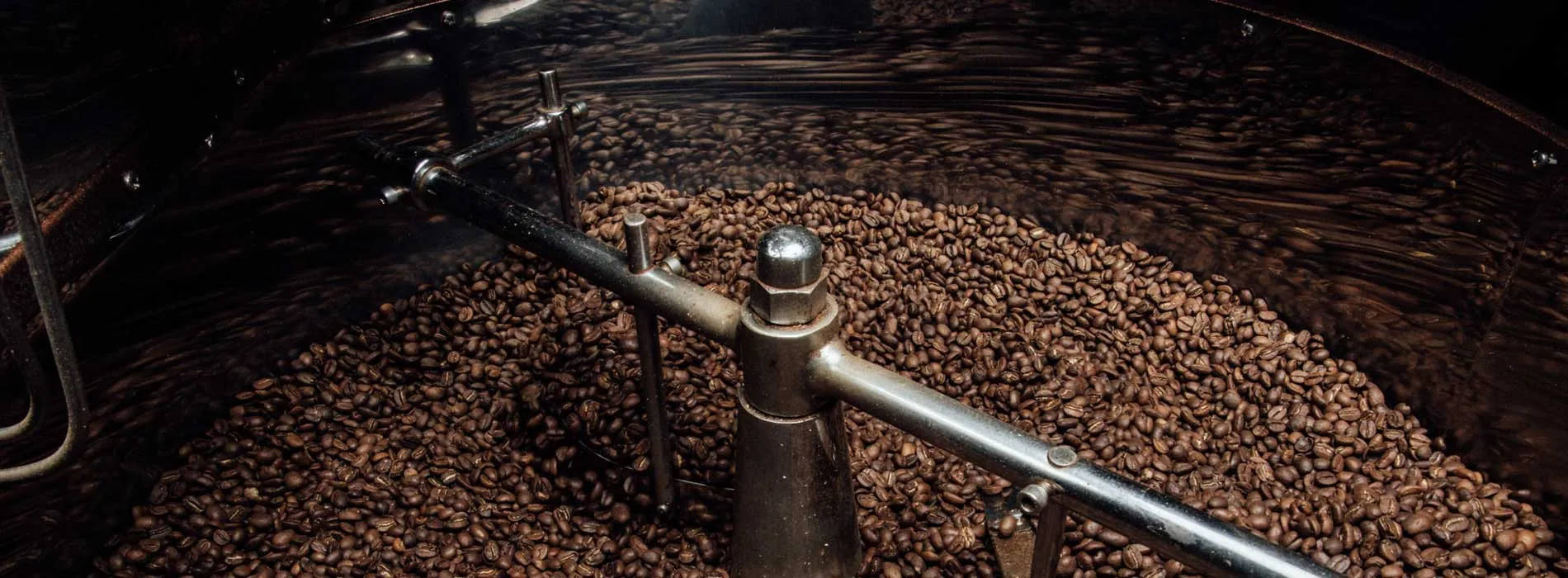 Fuego Coffee Roasters El Salvador Red