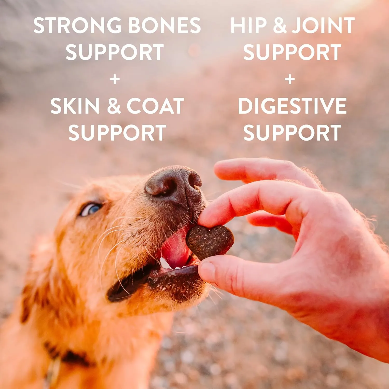 Shameless Pets Soft-Baked Treats, Meat Variety 5-Pack - Natural & Healthy Chews for Small, Medium & Large Dogs - Biscuits Baked & Made in USA, Free From Grain, Corn & Soy