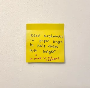 Stuart Lantry, "Keep mushrooms in paper bags"