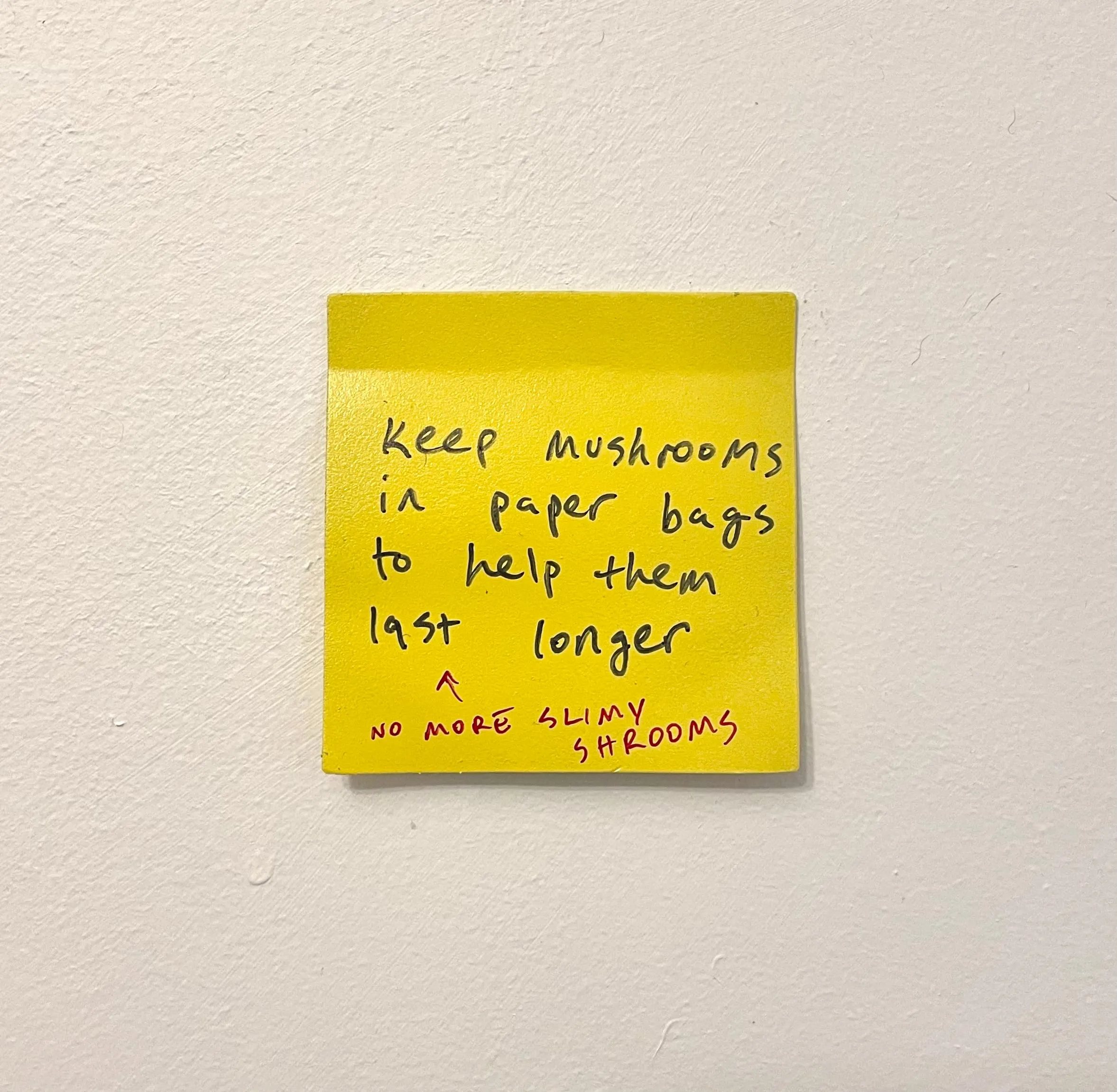 Stuart Lantry, "Keep mushrooms in paper bags"