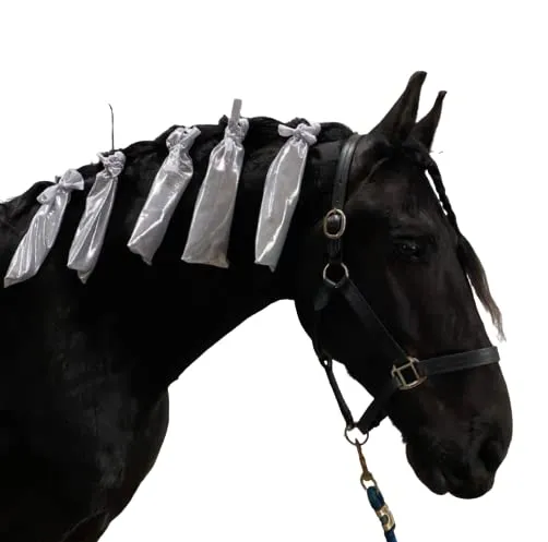 Tail bag for Horses, Tail Bag, Horse tail bag, Mini Tail bag, Mane Bag Laura Hall P&Design Tail bag (Mane) (Horse) (Pony) Tail Bag Raccoon Just here for the snacks tail bag (Horse Tail Bag)
